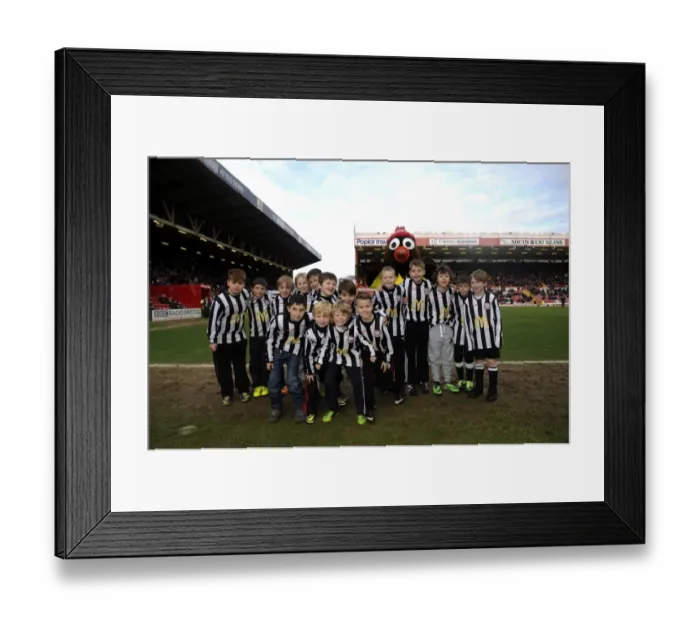Framed Print : Bristol City Football Club: Flag Bearers at Ashton Gate during Sky Bet League One Match against Tranmere Rovers