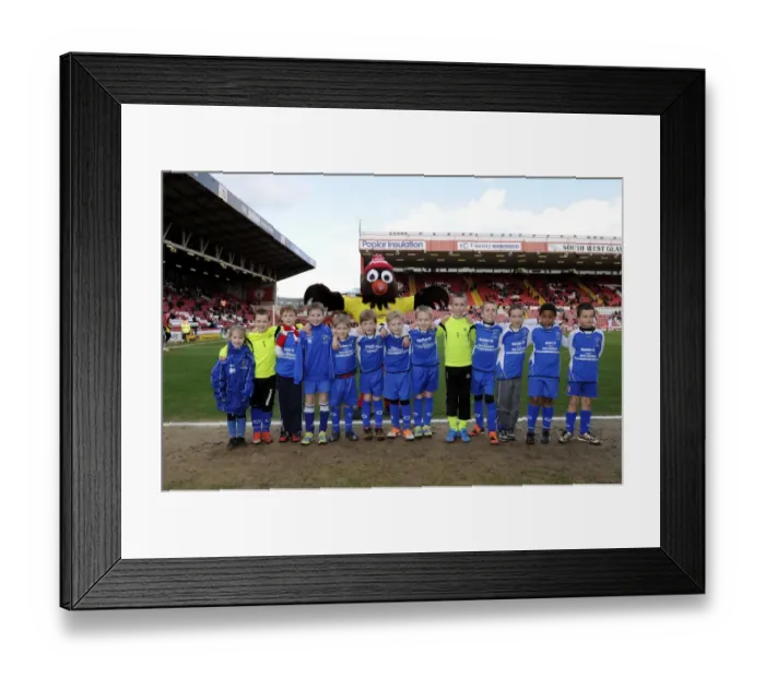 Framed Print : Flagbearers Clash: Bristol City vs Gillingham, Sky Bet League One (March 1, 2014)