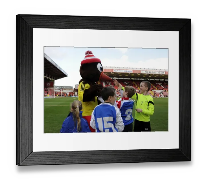 Framed Print : Bristol City's Mascot Scrumpy Engages with Young Fans during Bristol City v Gillingham Match, March 2014 Framed Print : Bristol City's Mascot Scrumpy Engages with Young Fans during Bristol City v Gillingham Match, March 2014