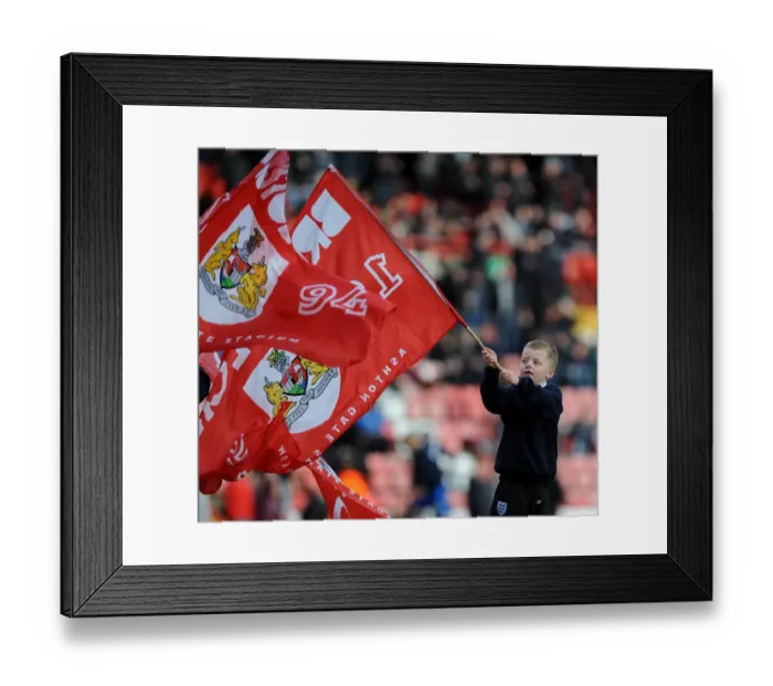 Framed Print : Bristol City Flag Bearers in Action at Ashton Gate during Sky Bet League One Match against Gillingham (March 1, 2014)