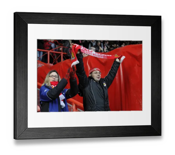 Framed Print : Bristol City vs Gillingham: A Sea of Supporters at Ashton Gate, 1st March 2014 (Sky Bet League One) Framed Print : Bristol City vs Gillingham: A Sea of Supporters at Ashton Gate, 1st March 2014 (Sky Bet League One)