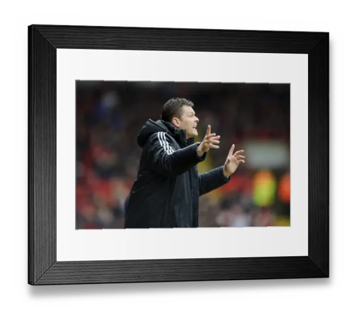 Framed Print : Steve Cotterill Gesturing at Ashton Gate: Bristol City vs Gillingham, Sky Bet League One Framed Print : Steve Cotterill Gesturing at Ashton Gate: Bristol City vs Gillingham, Sky Bet League One