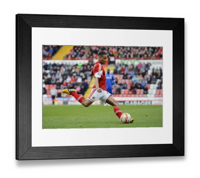 Framed Print : Bobby Reid in Action: Bristol City vs. Gillingham, Sky Bet League One, 2014 Framed Print : Bobby Reid in Action: Bristol City vs. Gillingham, Sky Bet League One, 2014