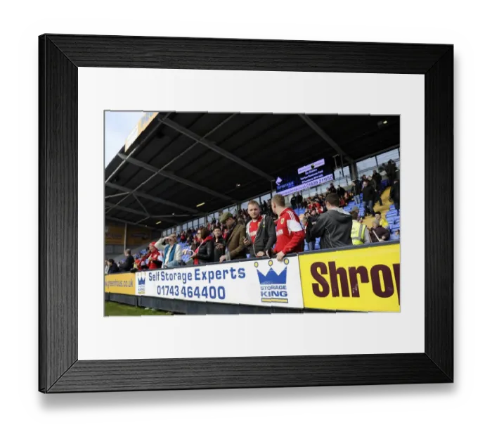 Framed Print : Bristol City Fans Cheering at Shrewsbury Town's New Meadow, March 2014 Framed Print : Bristol City Fans Cheering at Shrewsbury Town's New Meadow, March 2014