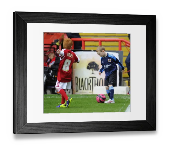 Framed Print : Bristol City vs Preston North End Rivalry: A Football Clash at Ashton Gate - April 2014 Framed Print : Bristol City vs Preston North End Rivalry: A Football Clash at Ashton Gate - April 2014