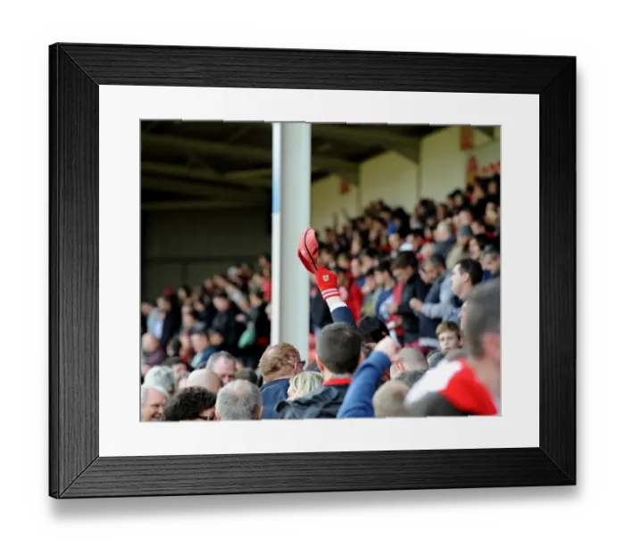 Framed Print : Bristol City Fan Celebrates Win Against Walsall at Banks Stadium Framed Print : Bristol City Fan Celebrates Win Against Walsall at Banks Stadium