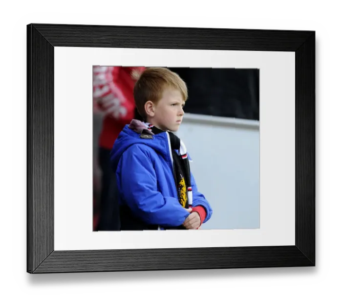 Framed Print : Bristol City Fans Cheering at Walsall's Banks Stadium (12 / 04 / 2014)