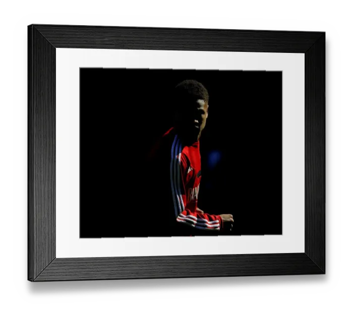 Framed Print : Wolverhampton Wanderers v Bristol City 261216 Framed Print : Wolverhampton Wanderers v Bristol City 261216