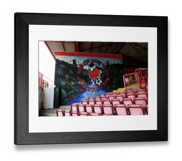 Framed Print : Bristol City Football Club: The Passionate East End - Wedlock Stand during the Rivalry with Notts County (2014)