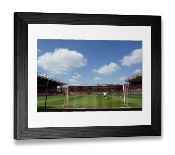 Framed Print : A Glance from the East End: Bristol City vs Notts County at Ashton Gate, Sky Bet League One Framed Print : A Glance from the East End: Bristol City vs Notts County at Ashton Gate, Sky Bet League One