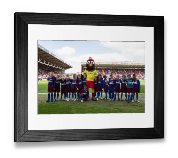 Framed Print : Bristol City vs Notts County: Flag Bearers Clash at Ashton Gate, 2014 Framed Print : Bristol City vs Notts County: Flag Bearers Clash at Ashton Gate, 2014