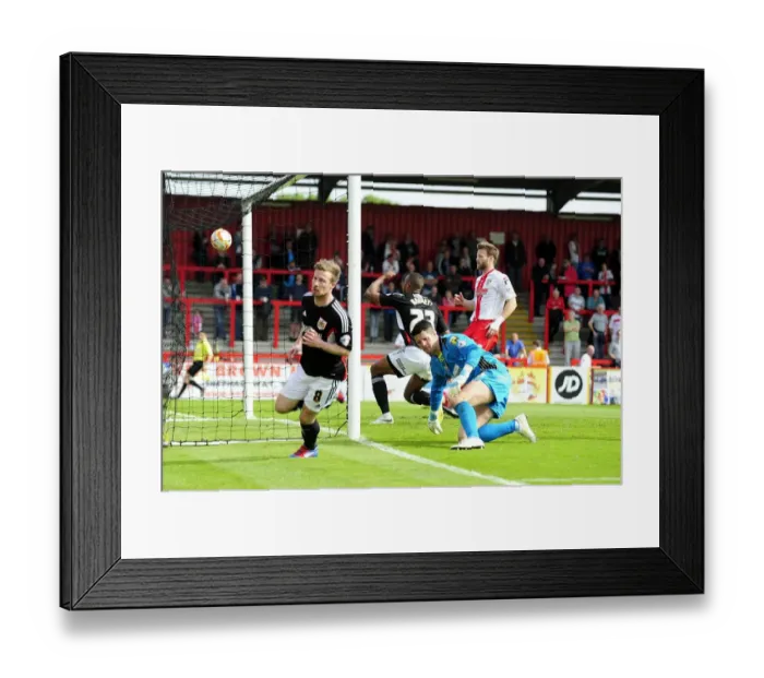 Framed Print : Wade Elliott's Goal Celebration: Stevenage vs. Bristol City, Sky Bet League One (April 2014)