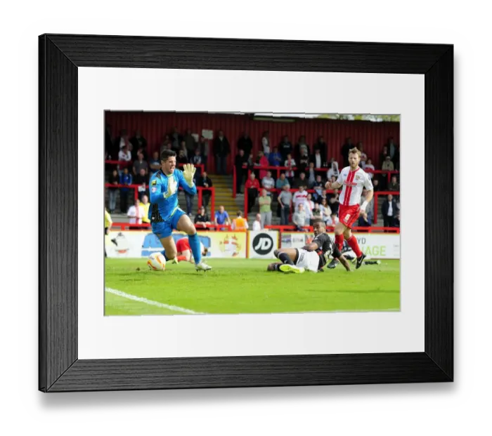 Framed Print : Wade Elliott Scores for Bristol City against Stevenage, April 2014 Framed Print : Wade Elliott Scores for Bristol City against Stevenage, April 2014
