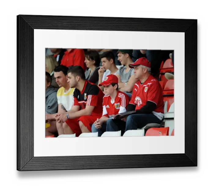 Framed Print : Bristol City Fans in Action at Broadhall Way