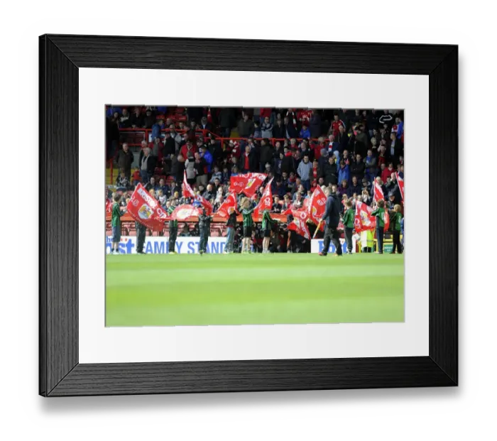 Framed Print : Bristol City vs Crewe: Flag Bearers at Ashton Gate, Sky Bet League One (April 2014) Framed Print : Bristol City vs Crewe: Flag Bearers at Ashton Gate, Sky Bet League One (April 2014)