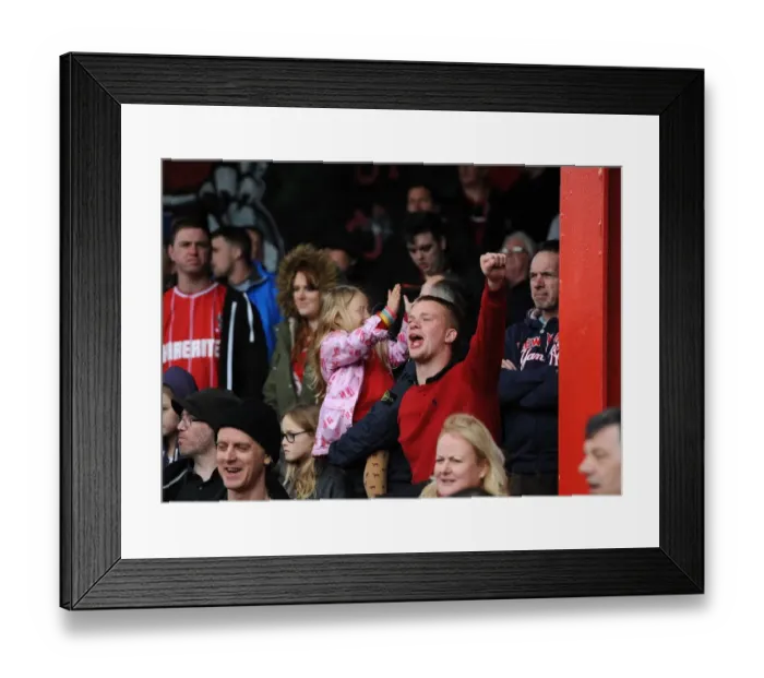 Framed Print : Bristol City Fans Celebrate Victory Over Crewe at Ashton Gate, 2014 Framed Print : Bristol City Fans Celebrate Victory Over Crewe at Ashton Gate, 2014