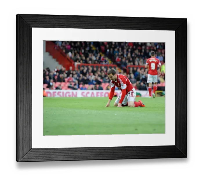 Framed Print : Bristol City's Martin Paterson in Action Against Crewe, Sky Bet League One, 2014