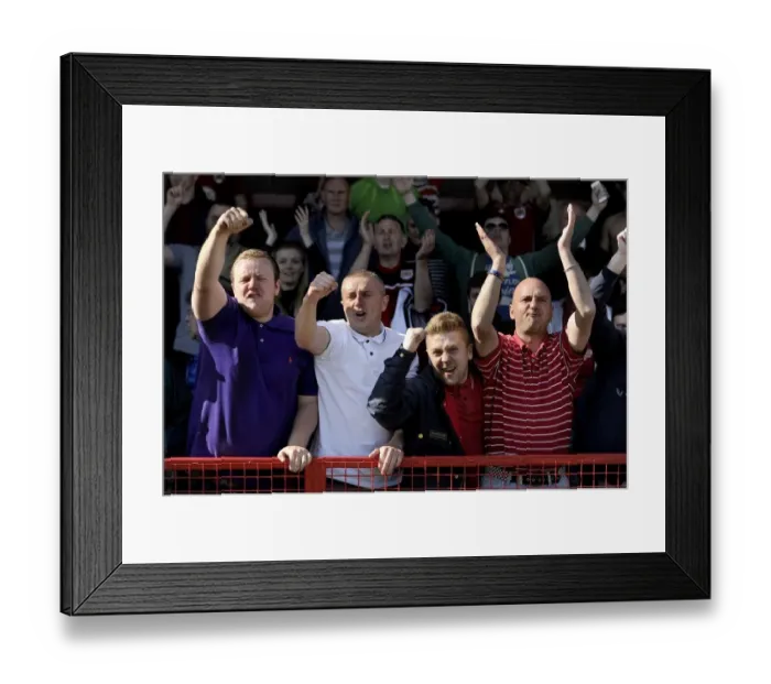Framed Print : Bristol City Fans Celebrate Promotion and Rival's Relegation in Crawley Town Match, May 2014 Framed Print : Bristol City Fans Celebrate Promotion and Rival's Relegation in Crawley Town Match, May 2014