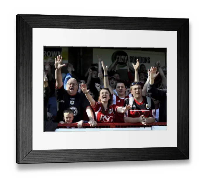 Framed Print : Bristol City Fans Rejoice in Promotion and Rival's Relegation at Crawley Town Match, May 2014