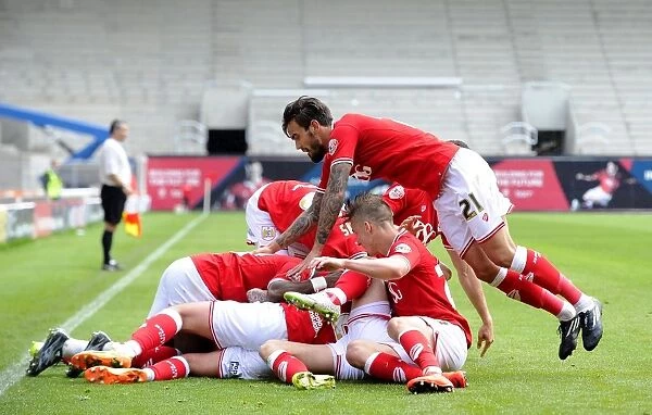 Aden Flint's Hat-Trick: Thrilling Victory of Bristol City over Walsall (03.05.2015)