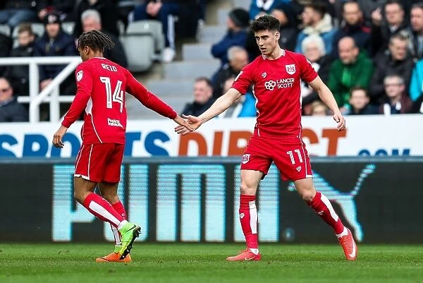 Bobby Reid and Callum O'Dowda Celebrate Bobby's Goal: Newcastle United 0-1 Bristol City (2017)