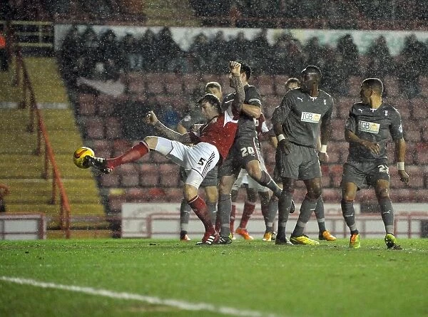 Bobby Reid's Unstoppable Cross: Bristol City's Victory Over Rotherham United (14 / 12 / 2013)