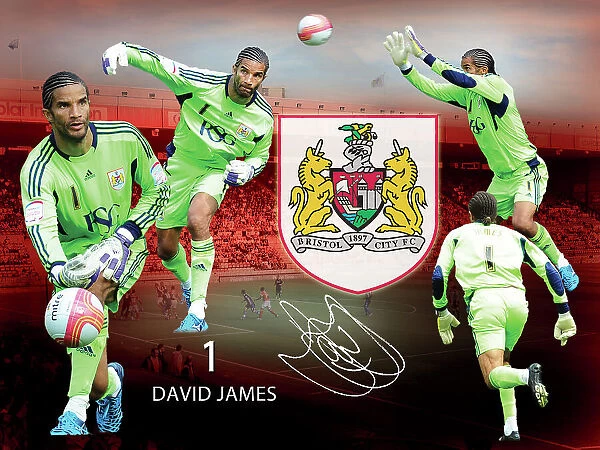Bristol City David James Framed Player Montage Print