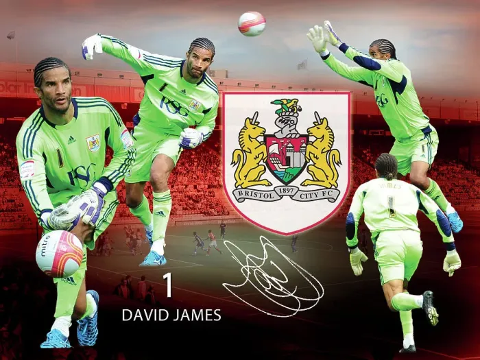 Photo Gift : Bristol City David James Framed Player Montage Print