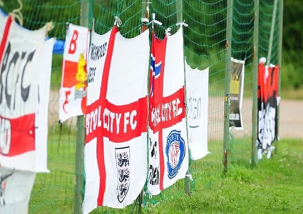 Bristol City Fans and Flags in Sweden