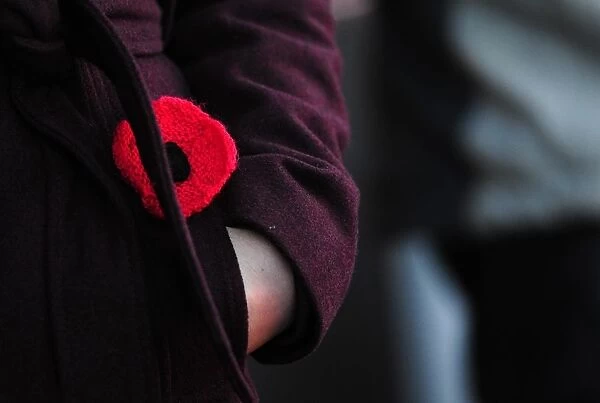 Bristol City Fans Honor Remembrance Day with Poppies at Ashton Gate Stadium