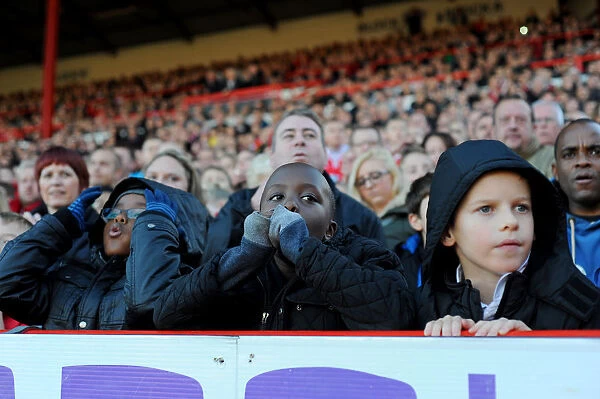 Bristol City Fans Showing Emotions During the Match against Preston North End (Nizaam Jones - 22 / 11 / 2014)