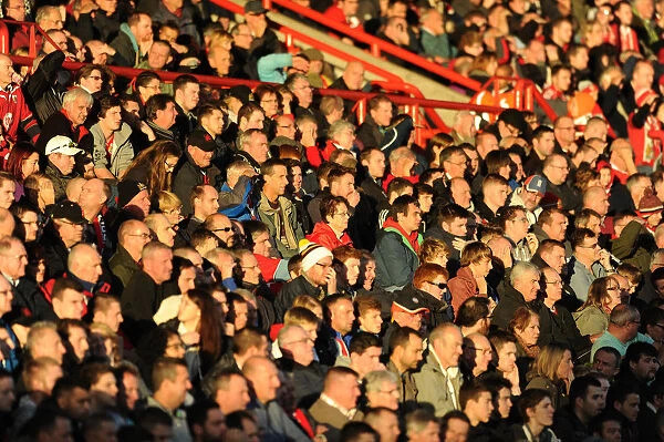 Bristol City Fans Watch Intently at Ashton Gate during Bristol City vs Preston North End, Sky Bet League One Match (November 2014)