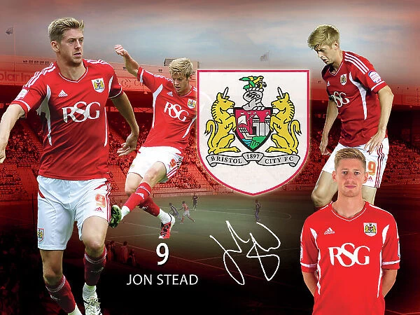 Bristol City Jon Stead Framed Player Montage Print