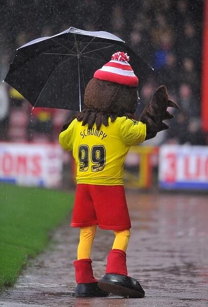 Bristol City Mascot Scrumpy Braves the Rain: Bristol City v Watford, Ashton Gate Stadium (December 2012)