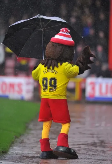 Framed Print : Bristol City Mascot Scrumpy Braves the Rain: Bristol City v Watford, Ashton Gate Stadium (December 2012)