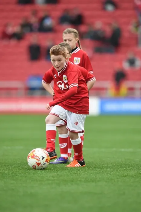 Framed Print : Bristol City Mascot vs Middlesbrough Mascot: Sky Bet Championship Clash at Ashton Gate Stadium (January 16, 2016) Framed Print : Bristol City Mascot vs Middlesbrough Mascot: Sky Bet Championship Clash at Ashton Gate Stadium (January 16, 2016)