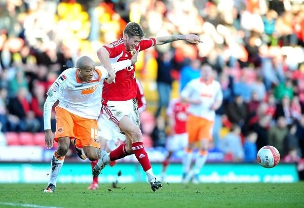 Bristol City vs Blackpool: Jon Stead vs Alex Baptiste Battle for Possession at Ashton Gate Stadium, 2012