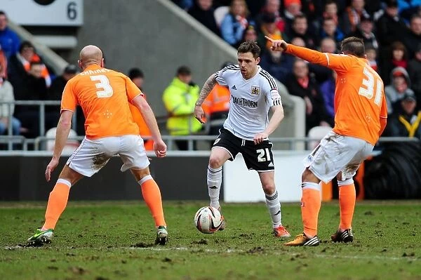 Bristol City vs Blackpool: Paul Anderson Faces Off Against Stephen Crainey and Angel