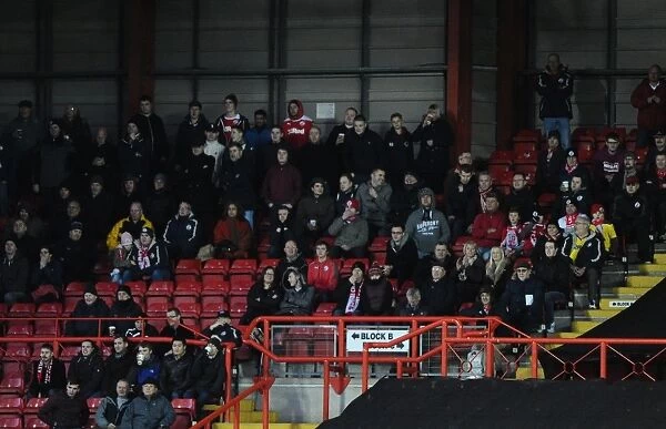 Bristol City vs Crawley Town: A Football Rivalry Ignites at Ashton Gate (December 13, 2014)