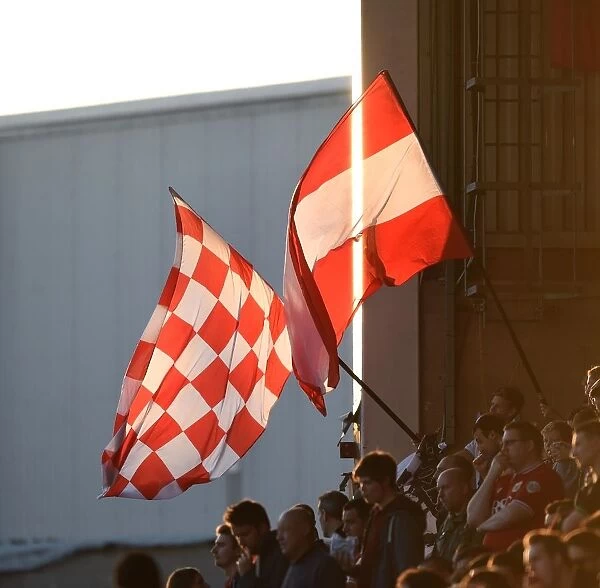 Bristol City vs Fulham: Supporters Wave Flags at Ashton Gate in the Sunset