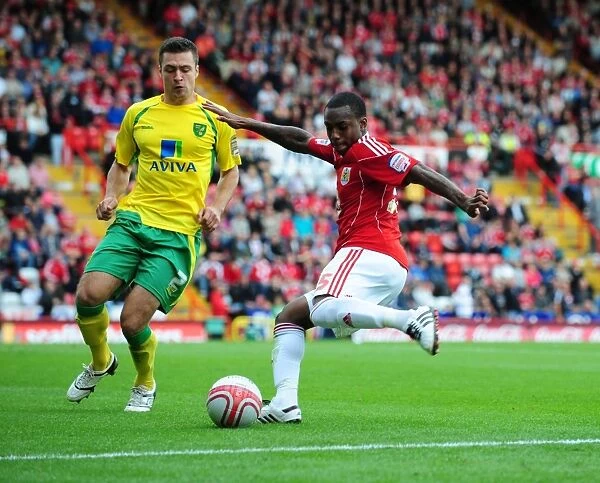 Bristol City vs Norwich City: A Football Rivalry - Season 10-11