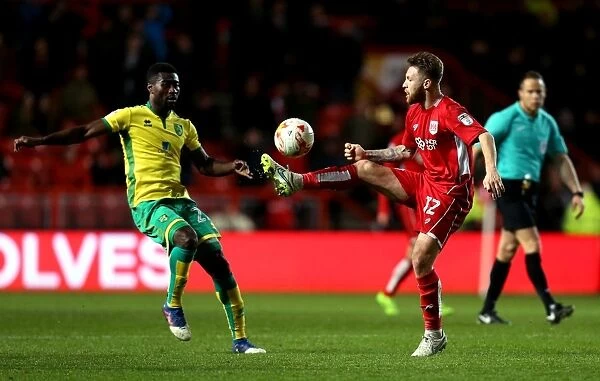 Bristol City's Matt Taylor in Control: A Pivotal Moment at Ashton Gate during Bristol City vs Norwich City, Sky Bet Championship Match, 2017