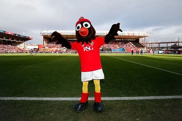 Bristol City's Scrumpy the Robin Ready for FA Cup Showdown Against West Ham United