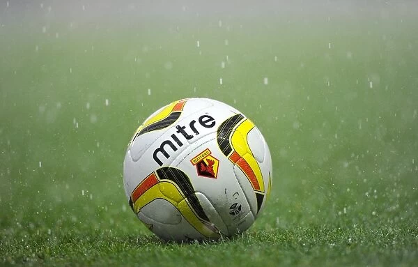 Championship Clash Between Bristol City and Watford Postponed: Ashton Gate Stadium Falters Under Heavy Rain