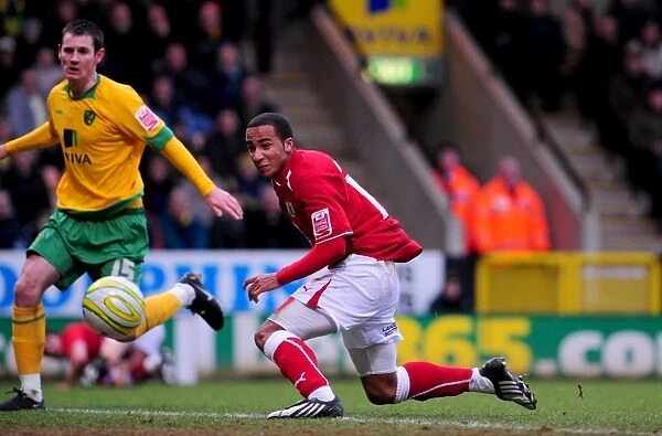 The Championship Showdown: Norwich City vs. Bristol City - A Football Rivalry: 08-09 Season (The Robins vs. The Canaries)