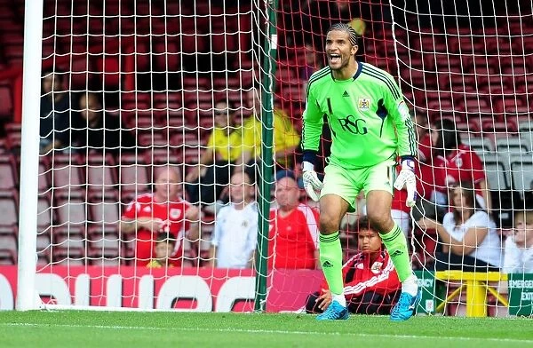 David James in Action: Championship Showdown between Bristol City and West Brom, July 30, 2011 (Bristol City v West Bromwich Albion)