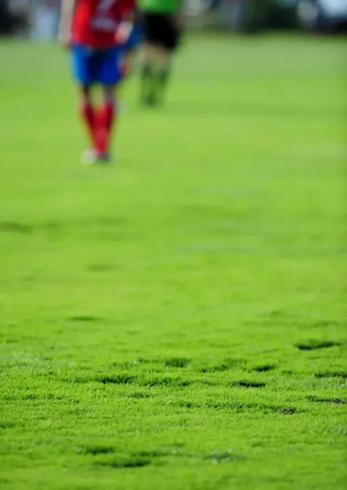 Framed Print : Divots on the Pitch: A Battle Between Helsingborgs IF and Bristol City Framed Print : Divots on the Pitch: A Battle Between Helsingborgs IF and Bristol City