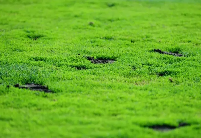 Framed Print : Divots on the Pitch: Helsingborgs IF vs. Bristol City
