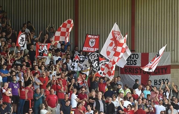 Flags in the Atyeo Stand: Bristol City vs Wigan Athletic, Ashton Gate, 2016