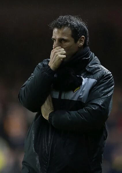 Gianfranco Zola's Disappointment: Bristol City Humble Watford 2-0
